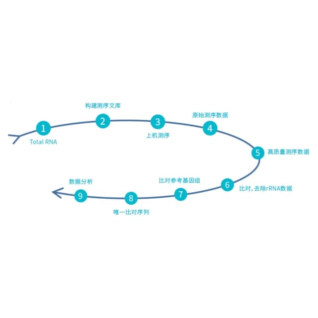 外泌体 lncRNA 测序原理