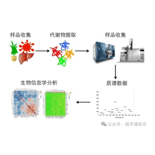靶向代谢组学原理