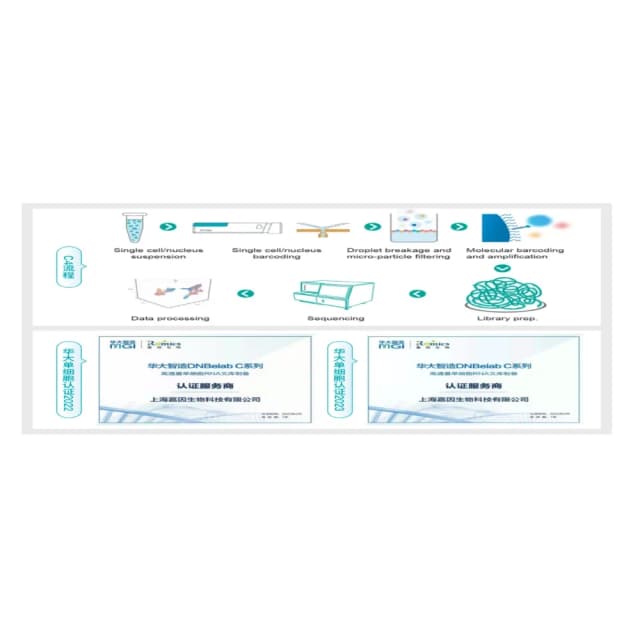 DNBELAB C-TAIM 4 单细胞 V(D)J原理