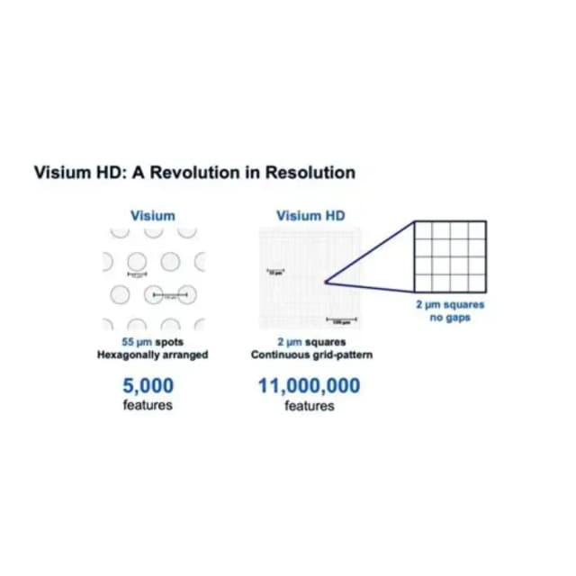 10X Visium HD 空间转录组原理