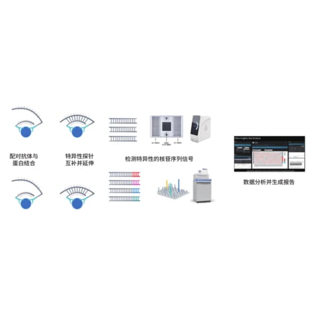 OLINK 靶向蛋白组学分析原理
