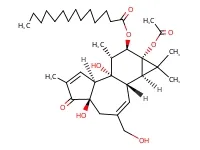 鞘脂组学-文献案例